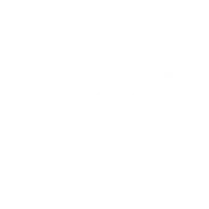 google-icon-Best-freelance-digital-marketer-in-palakkad