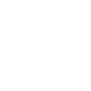 sted-icon-Best-freelance-digital-marketer-in-palakkad