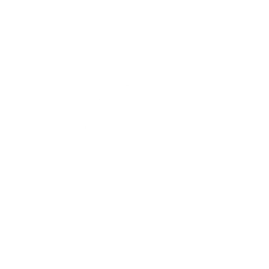 wordpress-icon-Best-freelance-digital-marketer-in-palakkad